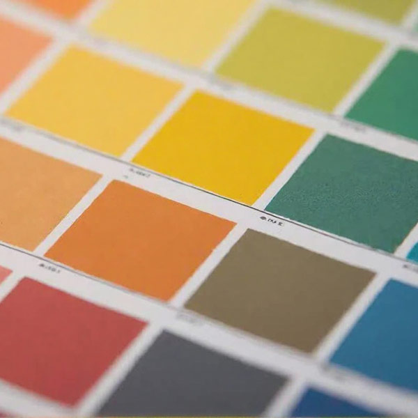 Saville Whittle Supply